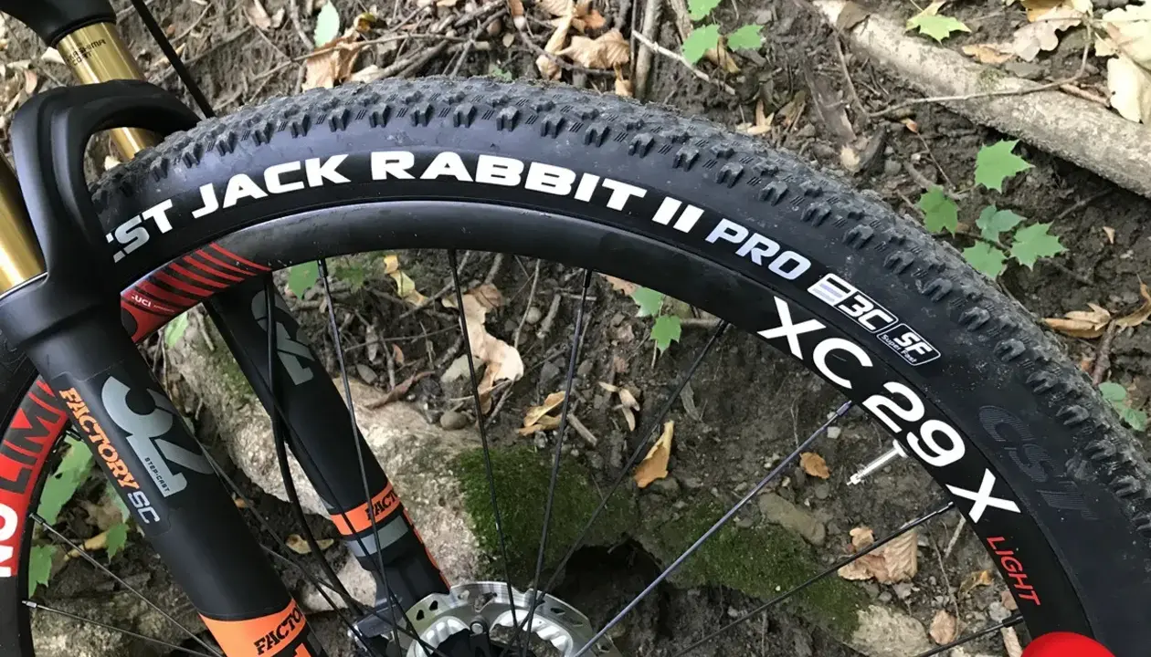 Opona CST Jack Rabbit II Pro 29x na rowerze górskim, gotowa na leśne ścieżki.