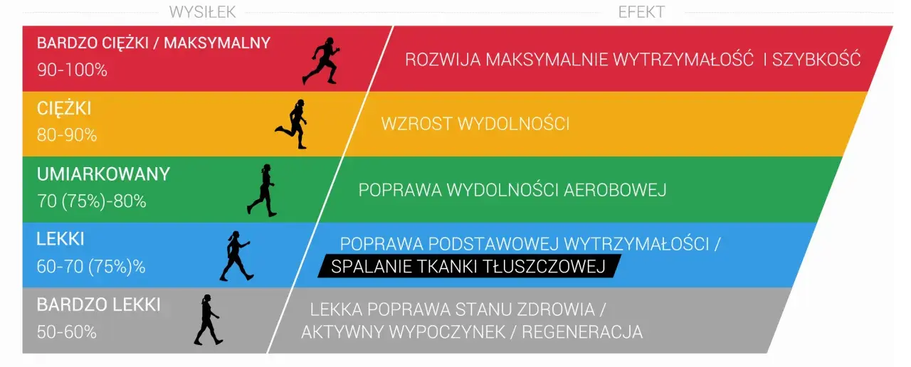 Grafika pokazuje poziomy wysiłku i ich efekty. Umiarkowany wysiłek (70-80%) poprawia tętno aerobowe, budując wytrzymałość.