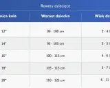 Tabela rozmiarów rowerów dziecięcych: średnica koła, wzrost dziecka i wiek. Rama M na jaki wzrost? Sprawdź tabelę!