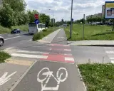 Pasy na ścieżce rowerowej i pasy dla pieszych przecinają drogę. Autobus i samochody czekają na zielone światło.