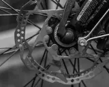 Zbliżenie na tarczę hamulcową i piastę roweru. Widać mechanizm przerzutki Shimano i ostrzeżenie na ramie.