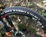 Opona CST Jack Rabbit II Pro 29x na rowerze górskim, gotowa na leśne ścieżki.