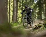 Rowerzysta w kasku i okularach zjeżdża po wyboistej leśnej ścieżce. To właśnie jest **co to enduro** – jazda po trudnym terenie.