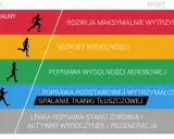 Grafika pokazuje poziomy wysiłku i ich efekty. Umiarkowany wysiłek (70-80%) poprawia tętno aerobowe, budując wytrzymałość.