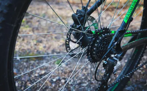 Tylne koło roweru z widocznym elementem przekładni rowerowej: kasetą z zębatkami Shimano i przerzutką Altus.