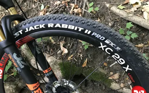 Opona CST Jack Rabbit II Pro 29x na rowerze górskim, gotowa na leśne ścieżki.