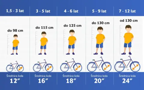 Tabela rozmiarów rowerów dla dzieci: wiek, wzrost i średnica koła. Dobierz odpowiedni rozmiar ramy dla swojego dziecka.