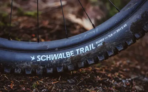 Opony Schwalbe Trail, jeden z rodzajów opon rowerowych, gotowe na leśne ścieżki.