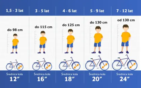 Tabela rozmiarów rowerów: rama 54 cm na jaki wzrost? Od 130 cm wzrostu, dla dzieci 7-12 lat, koła 24".