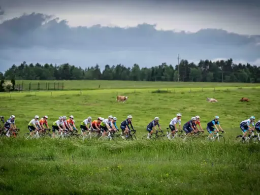 Kolarze w peletonie przemierzają malownicze tereny. To z pewnością jedne z tych rajdów rowerowych dla amatorów, które na długo pozostają w pamięci.