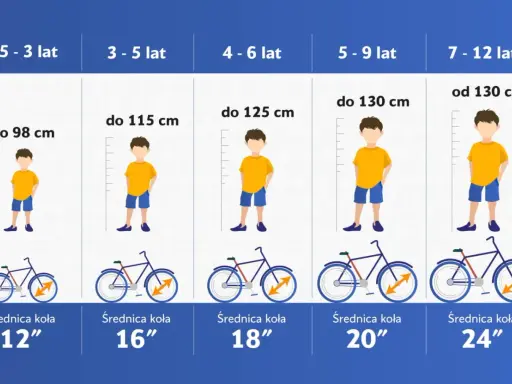 Tabela rozmiarów rowerów: rama 54 cm na jaki wzrost? Od 130 cm wzrostu, dla dzieci 7-12 lat, koła 24".