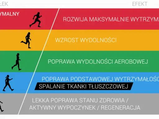 Grafika pokazuje poziomy wysiłku i ich efekty. Umiarkowany wysiłek (70-80%) poprawia tętno aerobowe, budując wytrzymałość.