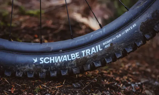 Opony Schwalbe Trail, jeden z rodzajów opon rowerowych, gotowe na leśne ścieżki.